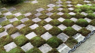 見どころ満載・東福寺