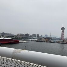 展望デッキからの風景