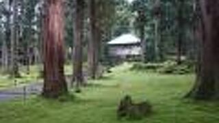 緑の苔の絨毯が印象的な美しい神社