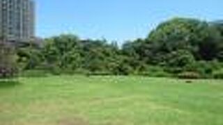 若者グループがいました