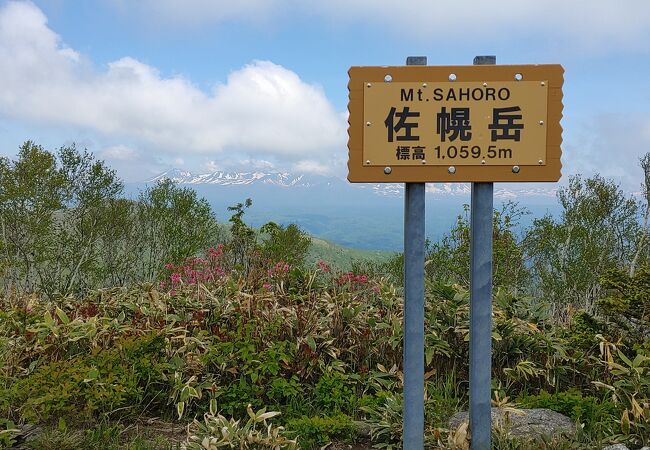 スキー場を直登