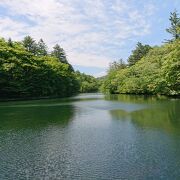 涼しい避暑地の池