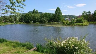 池のある公園 