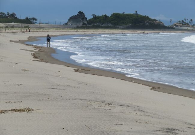 野蒜海岸