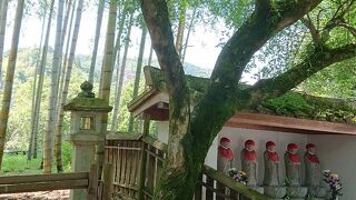 は散策するにはとても良いエリア