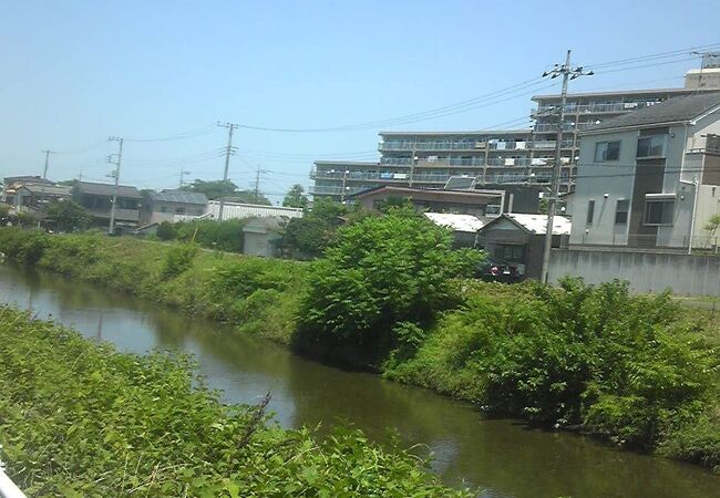 真夏の霞川