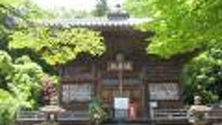 ここは人生の最盛期？です。