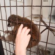 動物との距離が近い！スタッフさんの愛がダダ漏れの小さな動物園