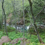 大沼池から始まる清流