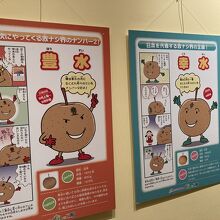 こども向けのわかりやすい展示もあります。