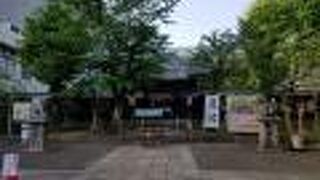 日光東照宮と比べると随分地味でした