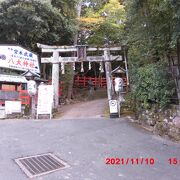 宮本武蔵が決闘した当時の一乗寺下り松が展示してあります
