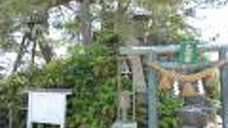 雨晴の名の由来になっている岩