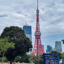 東京タワーと七夕飾り