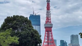 七夕飾りと東京タワー