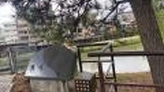 京都市内を流れる川