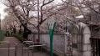 ほぼ全区間に歩道が整備