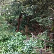 永青文庫と肥後細川庭園はつながっていて、散策にぴったりです。