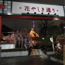 桜の花々と東京スカイツリー 浅草寺のハーモニーが最高 By Bobby Brazil 浅草花やしき通りのクチコミ フォートラベル 桜の花々と東京スカイツリー 浅草寺のハーモニーが最高 By Bobby Brazil 浅草花やしき通りのクチコミ フォートラベル