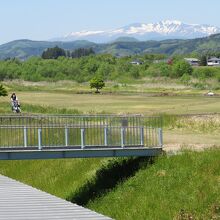感覚ミュージアムの屋上から見た周辺の風景