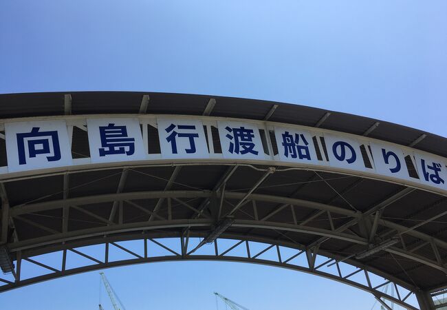 10分位で向島に着きます