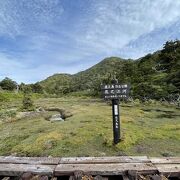 山中に広がる高層湿原