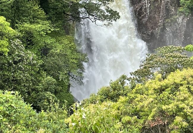 橋のそばにある滝