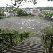 「江の島の見える展望台」はお勧め