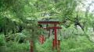 緑の林の中に鮮やかな朱色の鳥居、映える外観の神社　