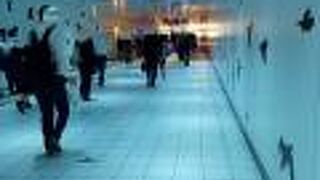 じっくり見るなら空いている時間に