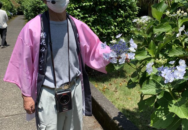 椿花ガーデン クチコミ アクセス 営業時間 伊豆大島 フォートラベル