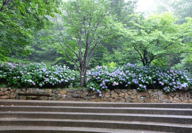 松山総合公園