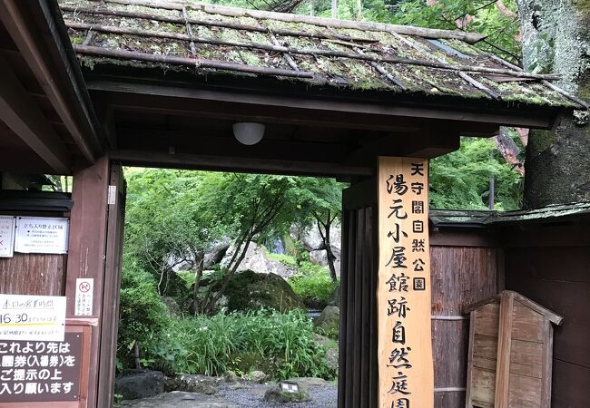 秋保温泉の公園 植物園 クチコミ人気ランキングtop3 フォートラベル 宮城県