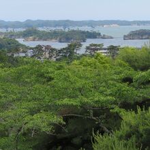 新富山からの眺めの一部。島々の説明パネルがあるといいのにな。