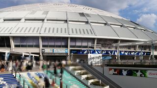 アイドルのコンサートで