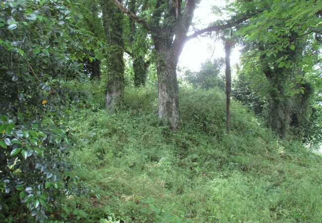 この古墳一帯は林になっていました。