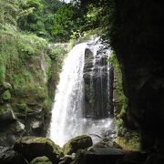 子牛のお陰で、見ることが出来ました。