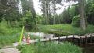 湧水池を囲む自然保護地です。