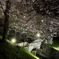 春のライトアップ～桜の疏水・三井寺～