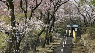 広々として見どころが多数