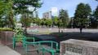 市民の憩いの場になってました。