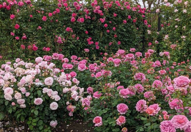 松阪農業公園ベルファーム