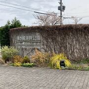 琵琶湖畔の気持ちのいい公園