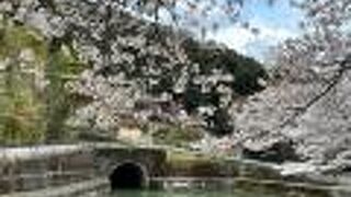 疏水沿いにトレイルもあります