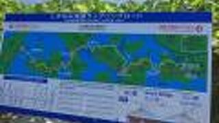 因島と生口島の間の斜張橋