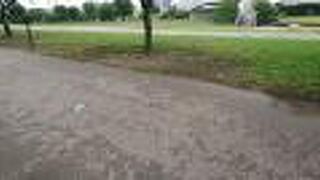 雨上がりに訪問 