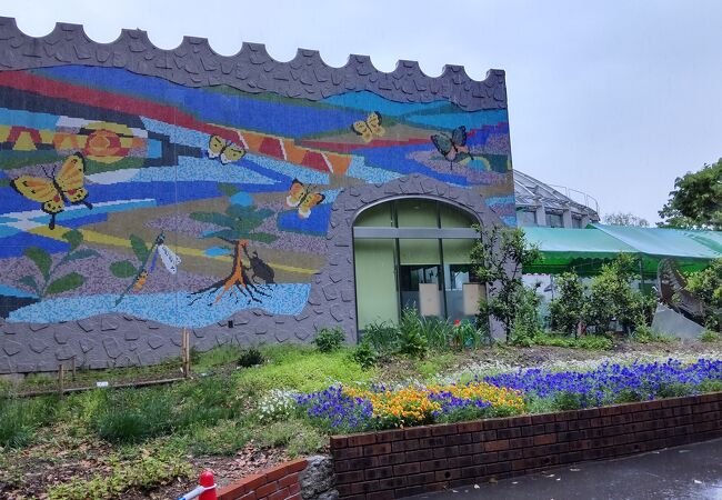 公園の中にある昆虫館