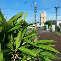 お部屋は快適　しかし、周辺には何もありません