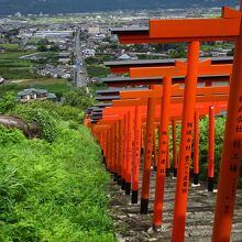 鳥居の終点からの景色.1