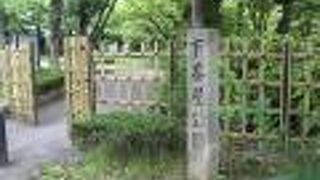 休憩場所としては穴場的なスポット